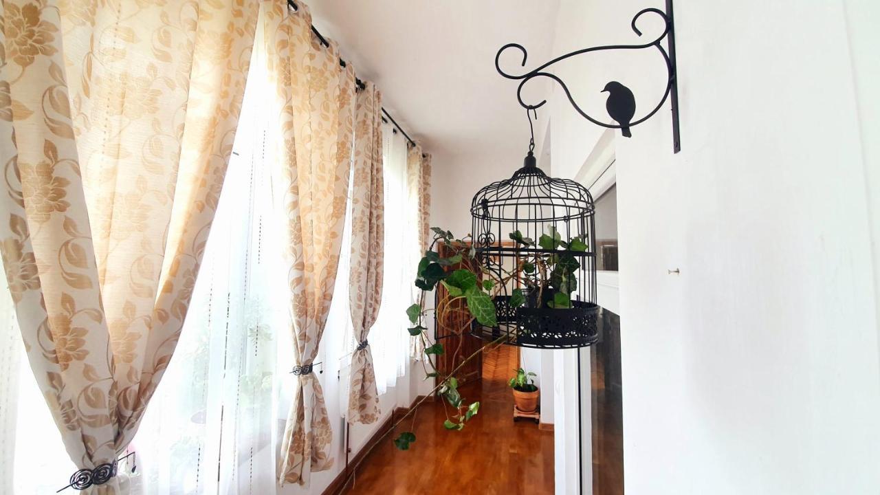Writer S Street Residence Arad Zewnętrze zdjęcie